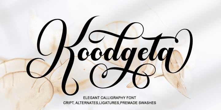 Koodgeta Font