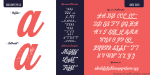Koozie Script Font