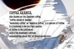 Kopi Arabica Font