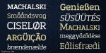 Korpo Serif - Complete Family 10 Styles Font