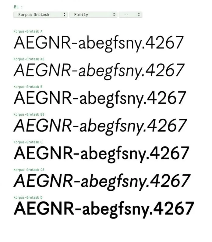 Korpus & Korpus Grotesk Fonts Families