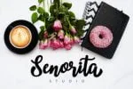 Krakatoa Brush Font