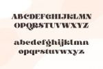 Kyoda Ascher - Bold Serif Font