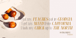 LE Buffec Font Family