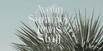 LOUIS Felligri Font Family
