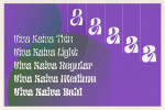 Viva Kaiva - Funky Retro Family