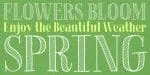 La Chic Font Family