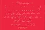 Lady Slippers Ornaments Font
