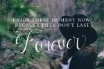 Ladylove Script Font