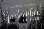 Ladylove Script Font