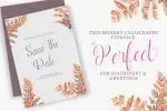 Ladylove Script Font