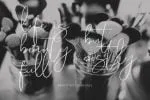 Ladytron Script Font