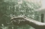 Lanara Script Font