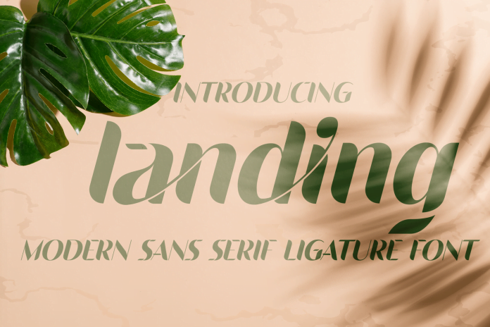 Landing Font