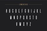 Las Valles Ultra Condensed Typeface 4 Fonts
