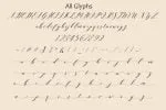 Last Night Script Font