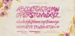 Last Paradise Font
