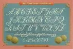 Lasttown Font