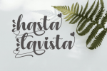 Lavida Font