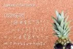 Lazy Pineapple Font