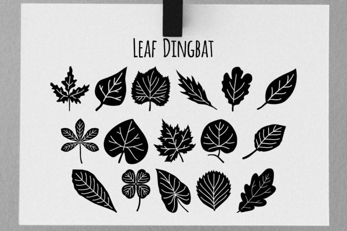 Leaf Dingbat Font