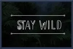 Leaflets Font