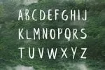 Leafy Extended Brush Font