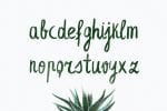 Leafy Extended Brush Font
