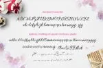 Legacy Brush Font