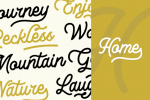 Lesley Font