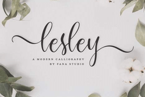 Lesley Script Font