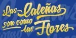 Letrista Script Font Family