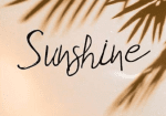 Letter Font