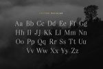 Leyton Typeface Font