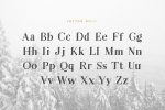 Leyton Typeface Font
