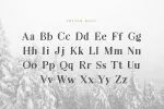 Leyton Typeface Font