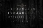 Leyton Typeface Font