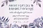 Lickody Font