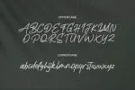 Life Rolling Font