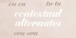 Lilith Script Pro Font Family