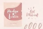 Lindsay Brown Script