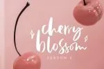 Lindsay Brown Script