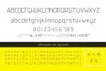 Liner Pro Font