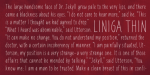 Liniga Serif Font