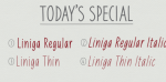 Liniga Serif Font