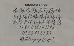 Lithonia Calligraphy Font