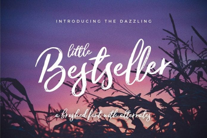Little Bestseller Script Font