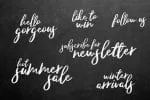 Little Bestseller Script Font