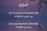 Little Bestseller Script Font