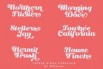 Little Birds Font